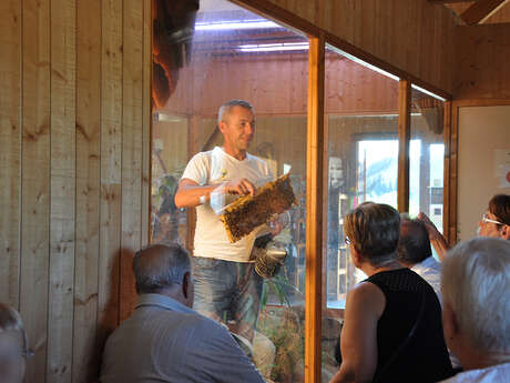 Guided tours - The world of bees and the work of the beekeeper