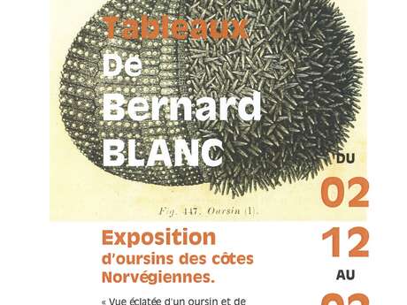 Exposition du Lavoir Vasserot - Bernard Blanc