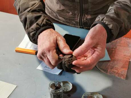 Marché à la truffe et au Safran de Caussade