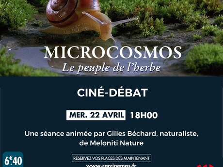 Ciné | Débat - Microcosmos : Le peuple de l'herbe