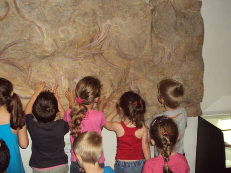 Laboratorio “Il piccolo geologo” - 06/08