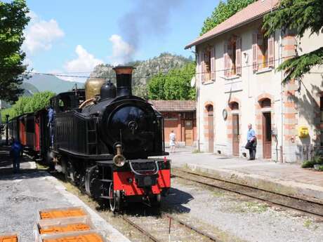 Excursion en bus vers le Train des Pignes