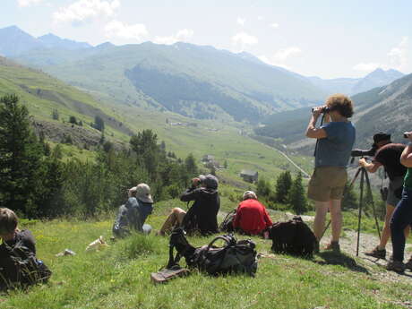 Week-end ornithologie avec SENTONA - 3 jours