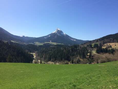 3 - Pierre Mesure depuis Saint Pierre de Chartreuse en trail