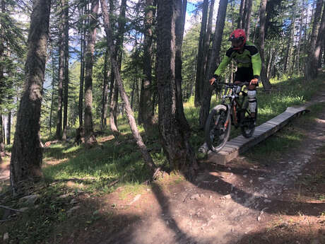 VTT à assistance électrique avec Will E Bike