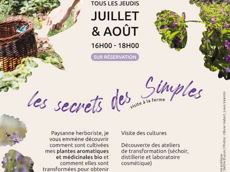 "Les secrets des simples" - Visite de l'herboristerie Sem'Arôme