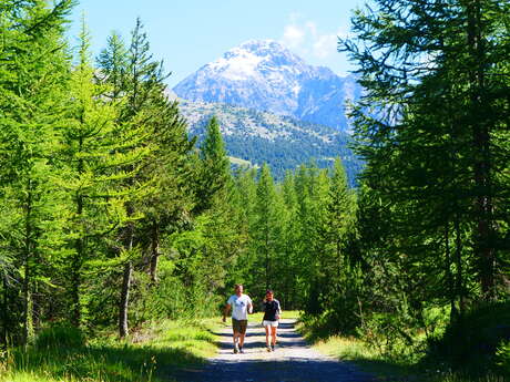 Balade Gourmande - Montgenèvre