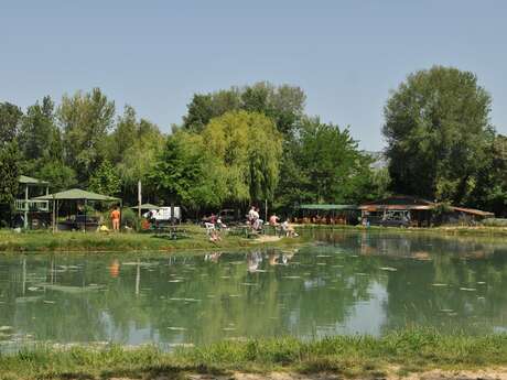 Etang de pêche à la truite Etang de pêche à la truite