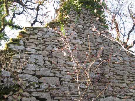 Les crêtes et ruines de la maison forte de Lomont