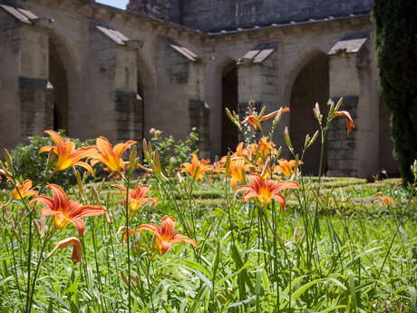 Dimanches au jardin : création d'une carte à semer