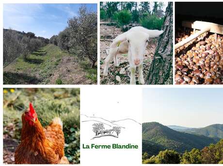 La Ferme Blandine