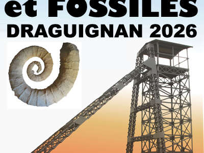 26 Salon des Minéraux et Fossiles