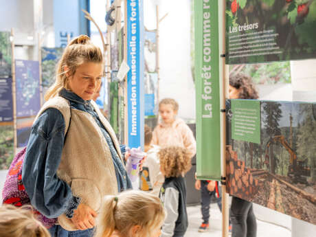 Exposition : Entre les branches