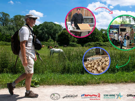 Rando des Terroirs à Grand Paris Sud