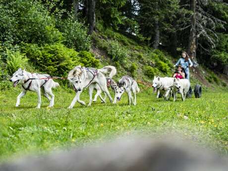 Initiation encadrée au cani'kart