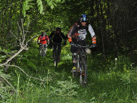 Course 5 ENDURO - DISCOVERY