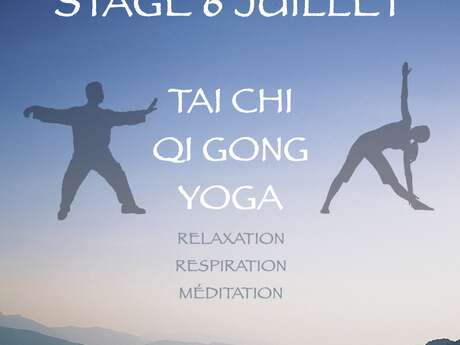 Stage Yoga/Qi Gong/Tai Chi