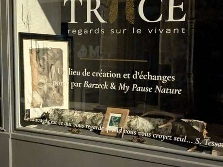Galerie LA TRACE