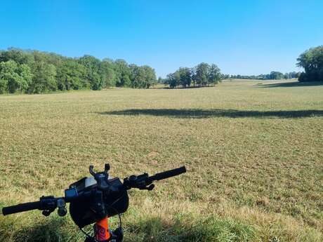 Circuit VTT-VTC n°8 (rouge) - Sur les crêtes de la Vallée du Sevron