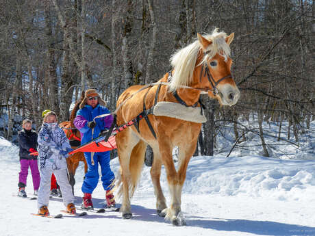 Initiation au ski-joering