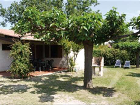 Les Buissières - Dans les Vignes - G583 - Ramade Jean