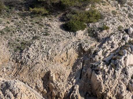 Maison des îles et du littoral (villa marine)