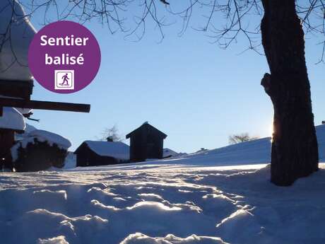 Tour du Pare - Randonnée hivernale
