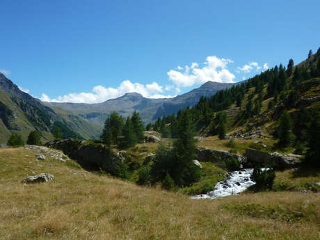 En itinérance - Valgo Champsaur Sauvage