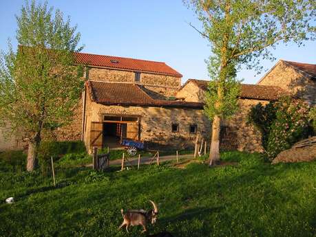 Gîte du château de Coisse