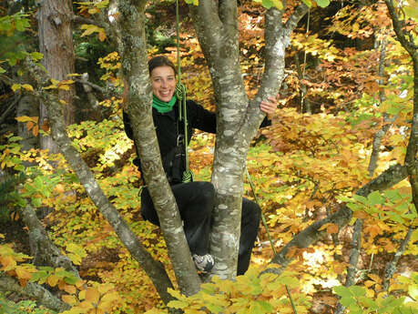 Au fil des branches