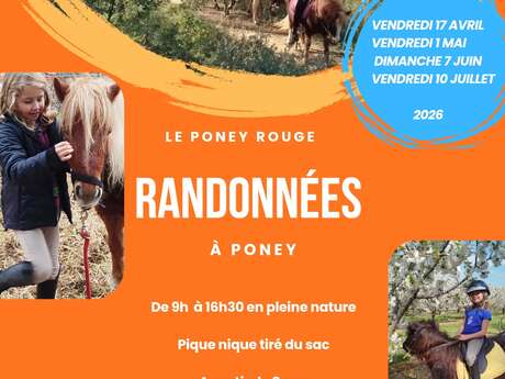 Randonnées à poney avec le Poney Rouge