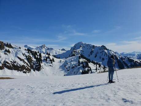 Alpes Suisse : l'échappée blanche