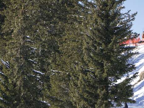 Ski Test Rossignol & Live DJ Sets