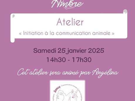 Atelier "Initiation à la communication animale"