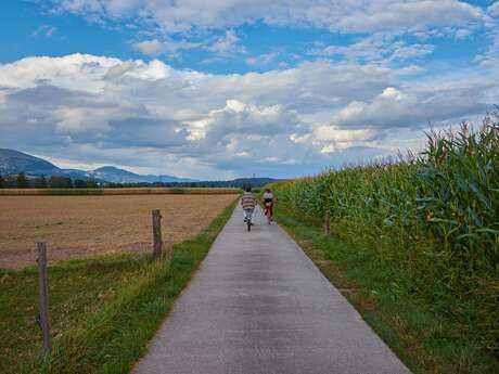 La Méditérannée à Vélo n°4 - Grau-du-roi/Tarascon