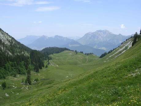 Les jeudis à l'alpage : le vrai goût de la montagne à la Servaz