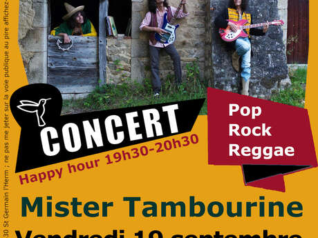 Concert - Mister Tambourine