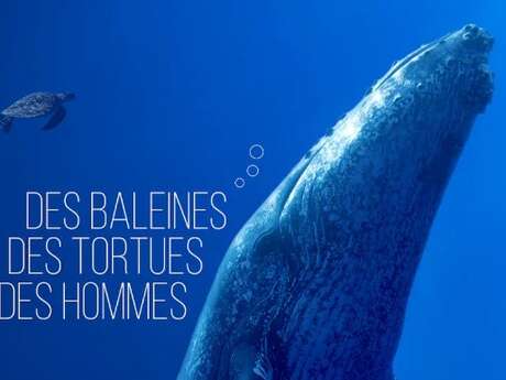 Screening of “Whales, Turtles, and People”