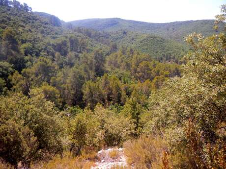 GREOUX-LES-BAINS - Les Maurras