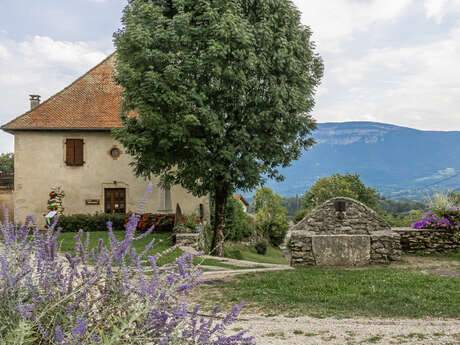 Orienteering Leisure Area through the village of Dullin