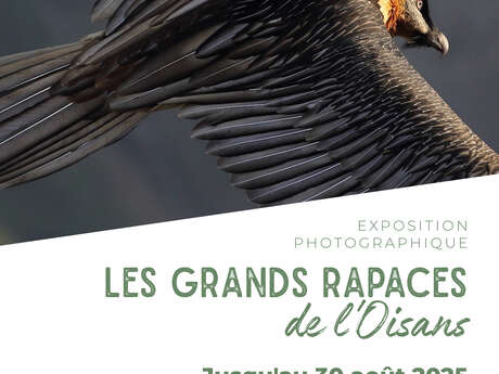 Photo exhibition - the great birds of prey of the Oisans