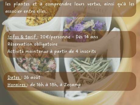 Atelier tisanes - Sortie nature Zecamp