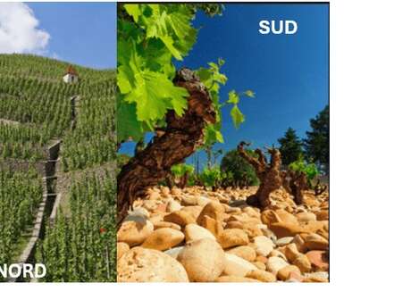 Ecole des Vins Workshop - The Battle of the North-South Crus