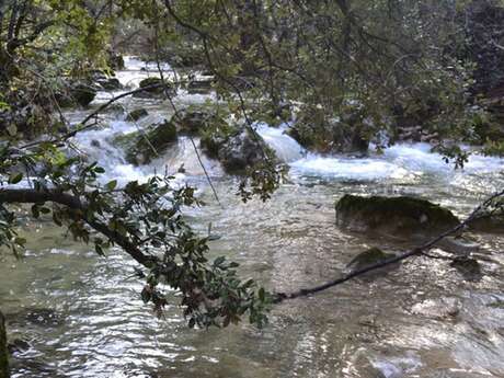 NANS-LES-PINS - L'Huveaune