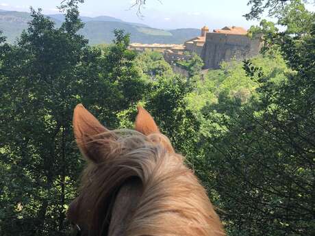 Aux portes de la Verne