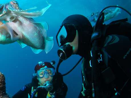 Formation  "Scuba Diver" avec Sanary Plongée