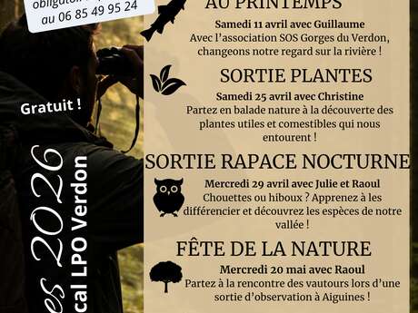 Sortie Groupe Local LPO 4