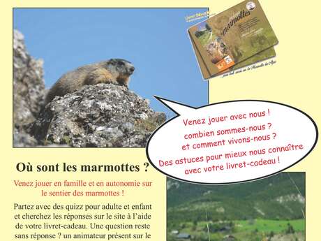 Où sont les marmottes ?