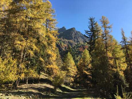 Le sentier du Roy