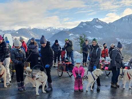 Chiens de traîneaux, Père Noël et Papillotes